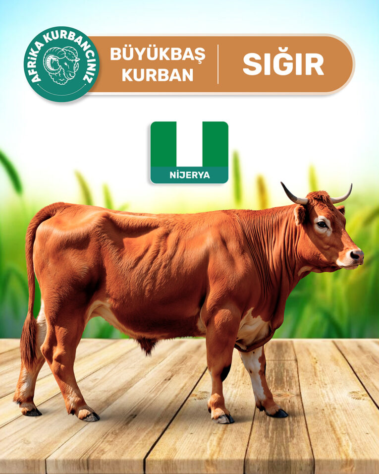 sigir-kurban_4x5_nijerya